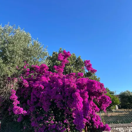 Casa Valverde * Monsanto