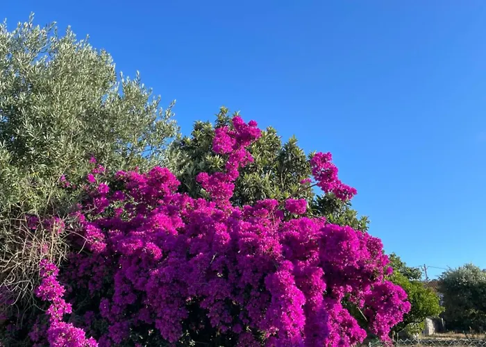 Casa Valverde * Monsanto